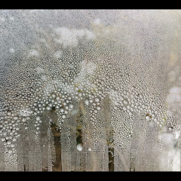 Meet your Posher - Picture 3 of 5